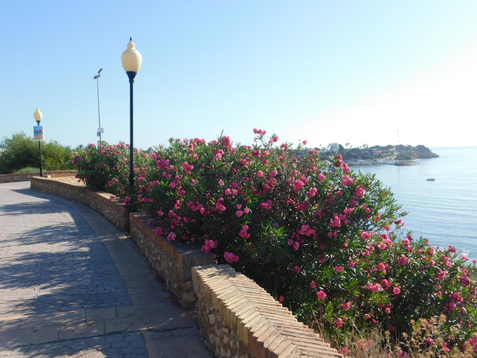 Playamarina I Apartment Cabo Roig Exterior photo