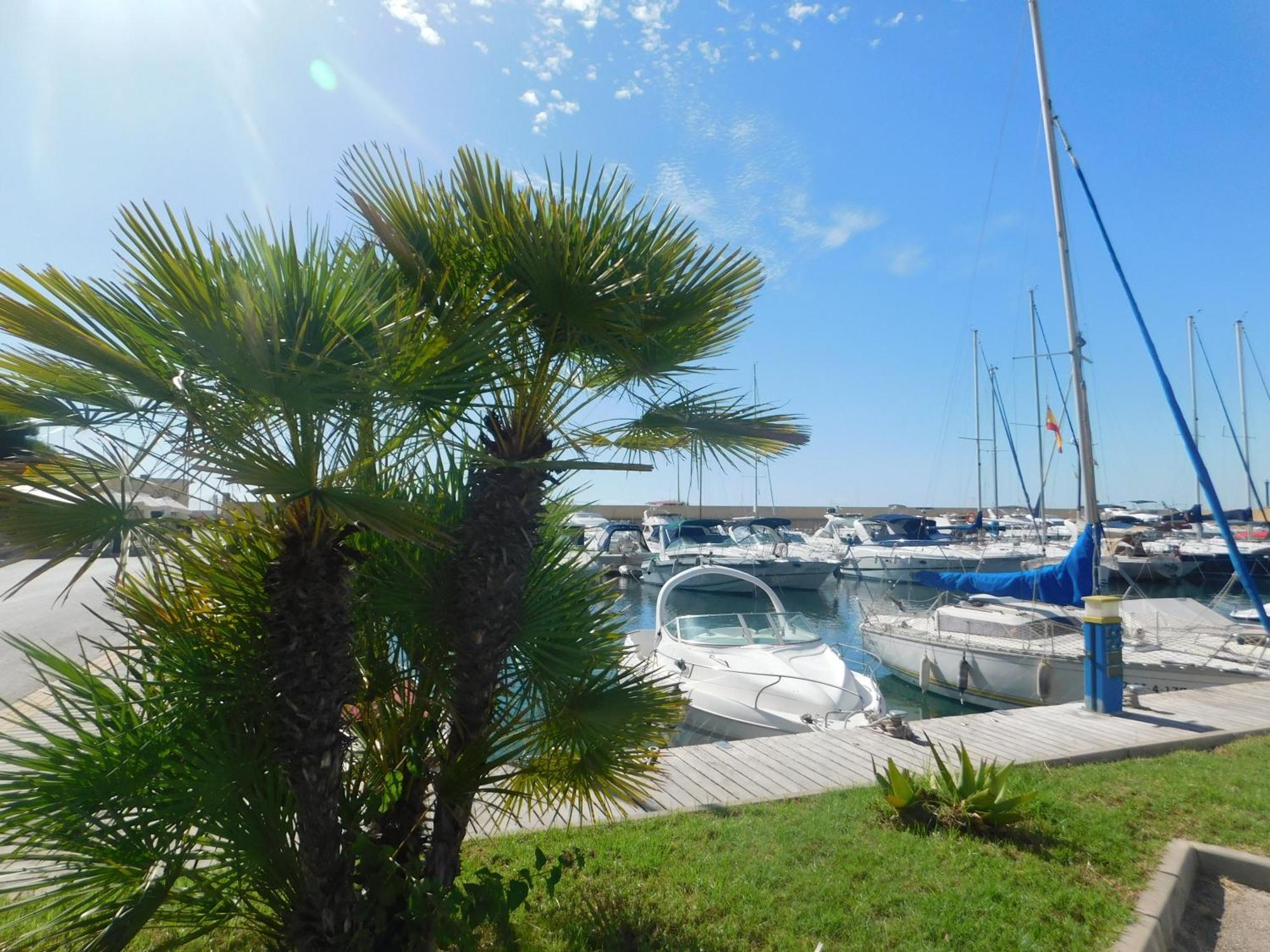 Playamarina I Apartment Cabo Roig Exterior photo